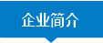 網格膜、網紋膜
